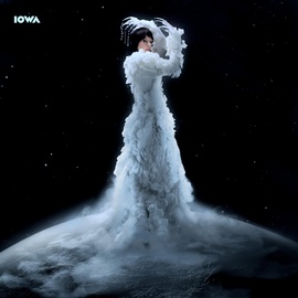 IOWA - ЗЕБРА IOWA - ЗЕБРА