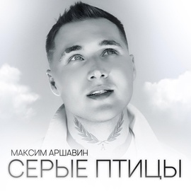 Максим Аршавин - Серые птицы